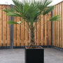 Planter Smooth buiten